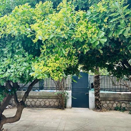 Maison 23 Coursan 외부 사진