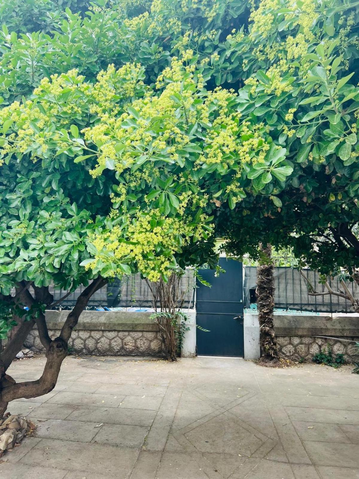 Maison 23 Coursan 외부 사진